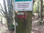 Ancora sui sentieri...oltre il vandalismo