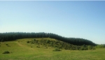 26 Novembre Appennino Piacentino Monte Aserei