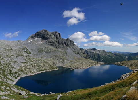 4 Luglio 2026 - Parco dell'Adamello - Rifugio Tita Secchi e Lago della Vacca