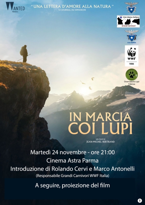 24 Novembre 2026 - In marcia coi lupi