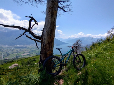 08 giugno 2024 - Gera - Lario (Lago di Como) in Mountain Bike 24EMTB07