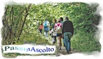 19 Aprile 2026 - PassinAscolto - Citt&agrave; d'Umbria - Monte Barigazzo