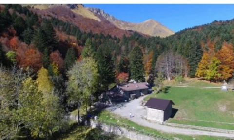 02 Agosto 2025 - Appennino Reggiano: Abetina Reale