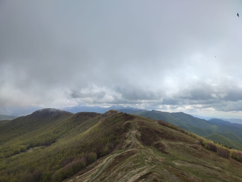 7 Giugno 2025 - Cammino nei Parchi 2025 Monte Giovarello e Abetina Reale