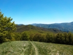 24 Maggio 2026 - Family CAI - Il Giro del Monte Molinatico