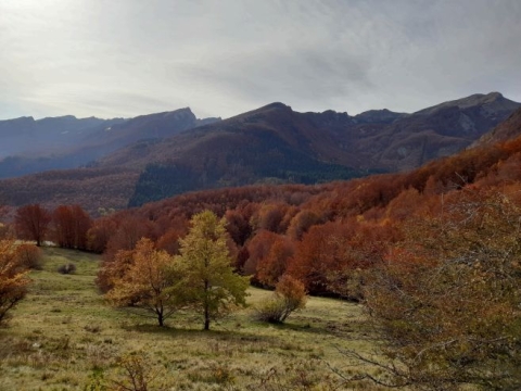 18 Ottobre 2026 - MTB - Bosco e Funghi