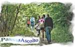 20 Luglio 2025 - Camp Corniglio: PassinAscolto in Val Bratica